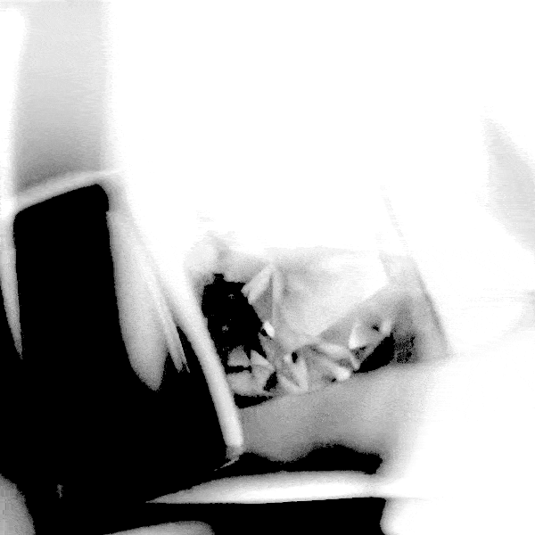 Christ Maga Thumb 600X600 V2