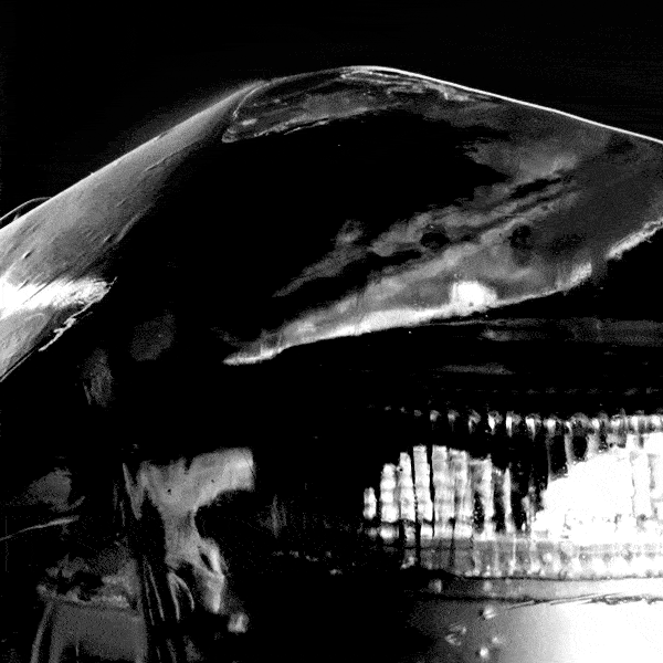 Hella Thumb 600X600 V3